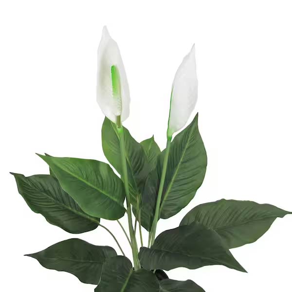 1.5 Ft Real Touch White Artificial Peace Lily Plant (Spathiphyllum) – artificial greenery with natural texture