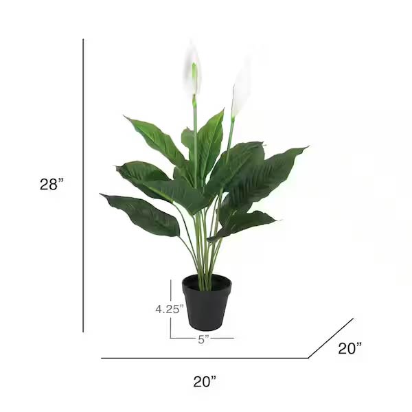 1.5 Ft Real Touch White Artificial Peace Lily Plant (Spathiphyllum) – full plant shot showcasing realistic foliage