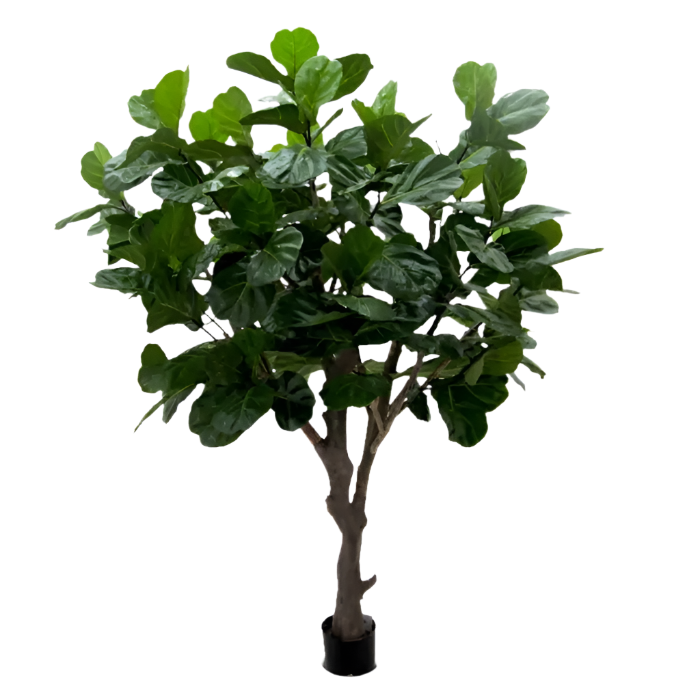 3 Ft Artificial Giant Lyrata tree 260 cm on trunk – perfect for modern home decor