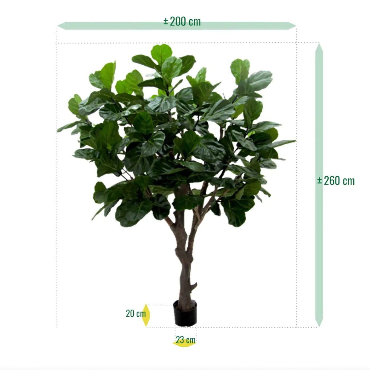 3 Ft Artificial Giant Lyrata tree 260 cm on trunk – premium artificial houseplant design
