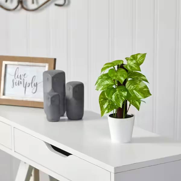 2 Ft Artificial Pothos Plant in White Planter (Real Touch) – styled for modern home interiors