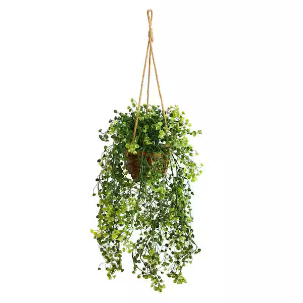 1.5 Ft Artificial Baby Tears Plant in Hanging Basket – Cascading Faux Greenery for Indoor & Outdoor
