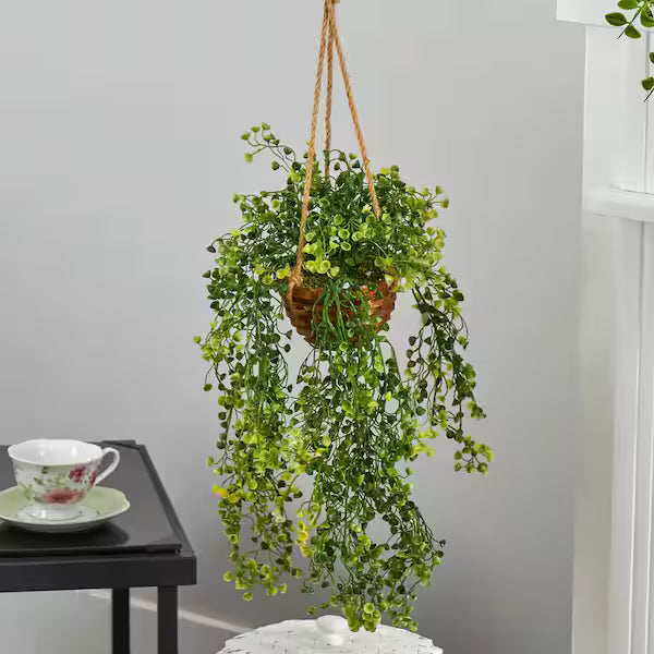 1.5 Ft Artificial Baby Tears Plant in Hanging Basket – Cascading Faux Greenery for Indoor & Outdoor