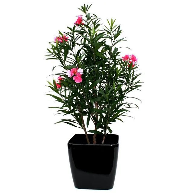 4 Ft Artificial Oleander Deluxe 150cm rose – ideal for indoor botanical themes