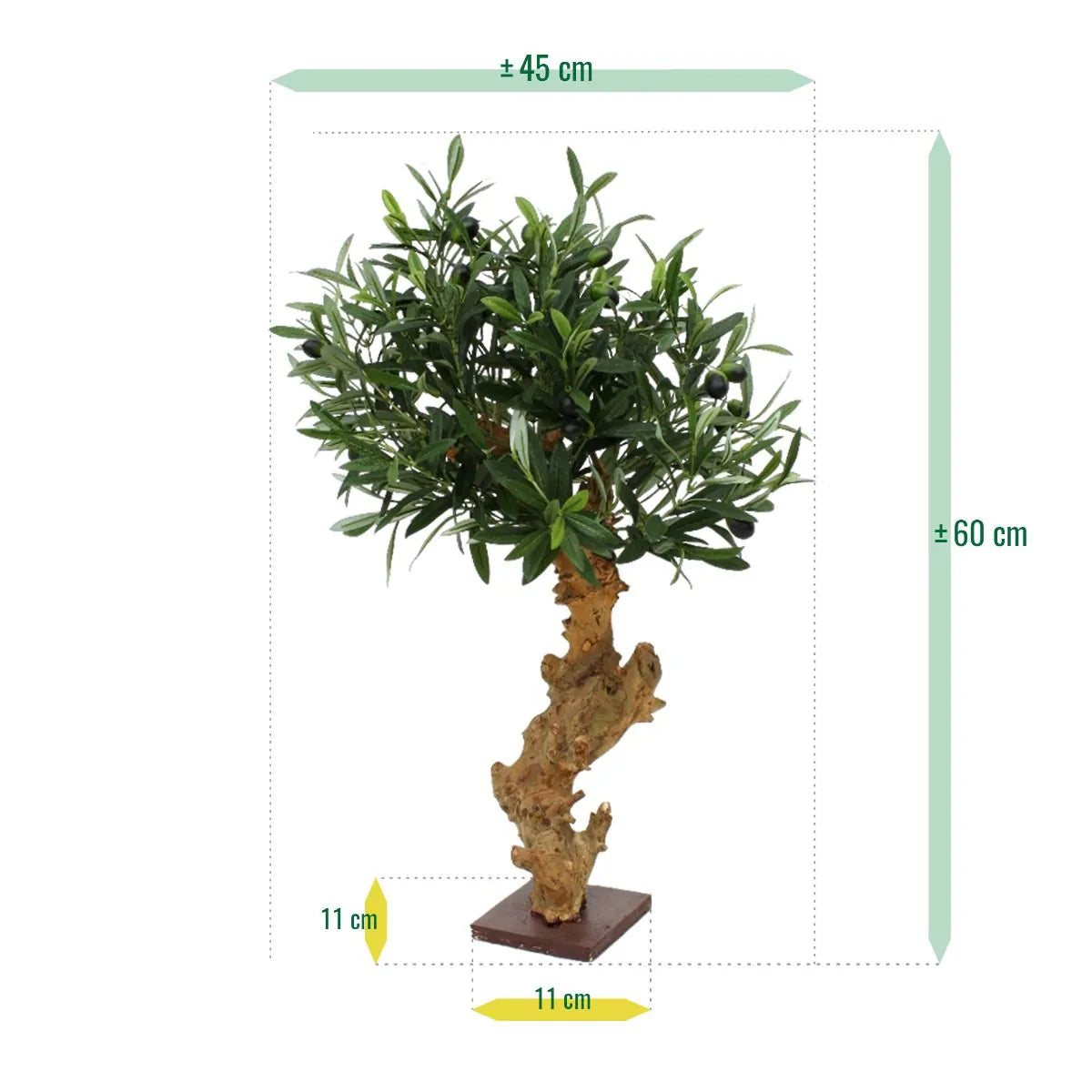 Compact 2 Ft faux Olive Bonsai tree for modern home and office spaces