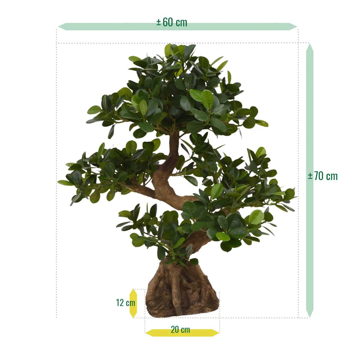 Stunning 2 Ft artificial Panda Bonsai – a miniature tree for elegant decor