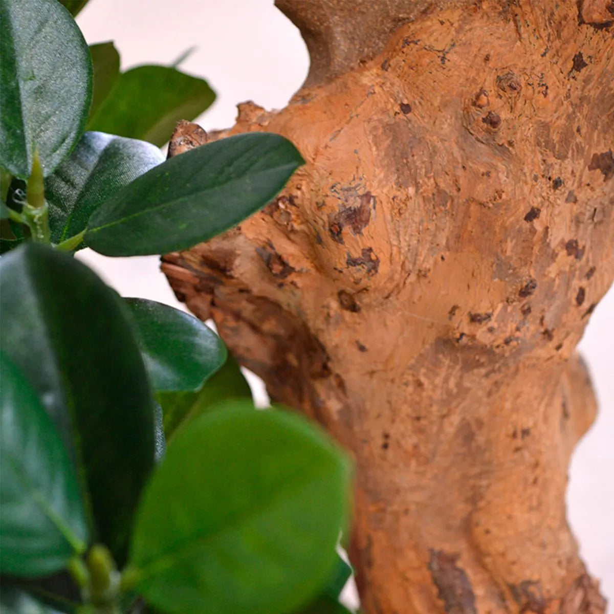 Decorative 3 Ft artificial Panda Bonsai set with lush, detailed leaves