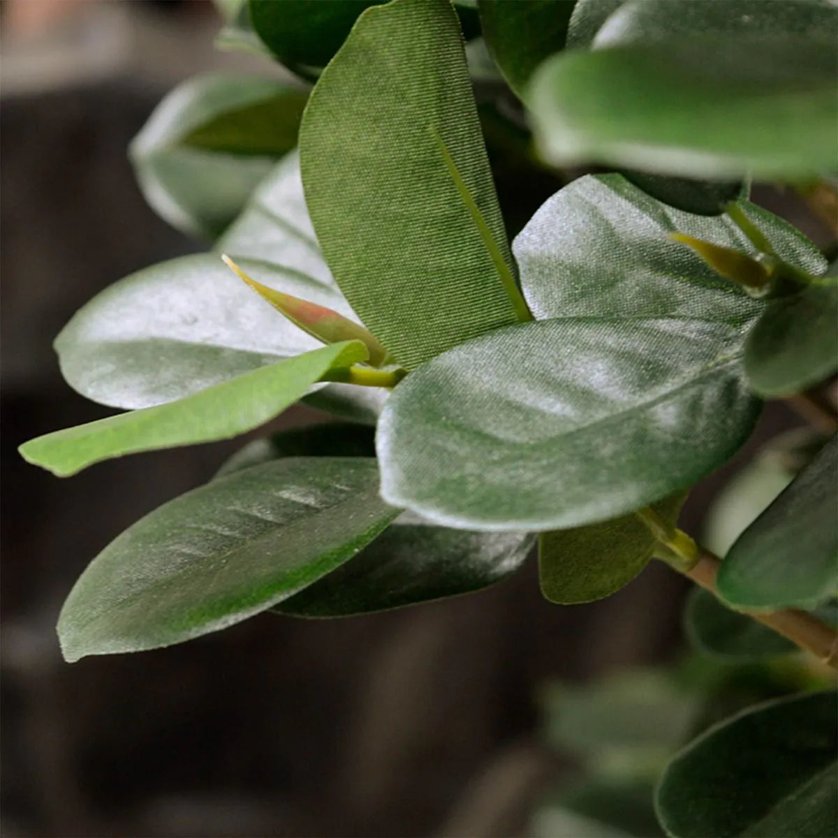 High-quality 3 Ft faux Bonsai trees with natural-looking twisted trunks