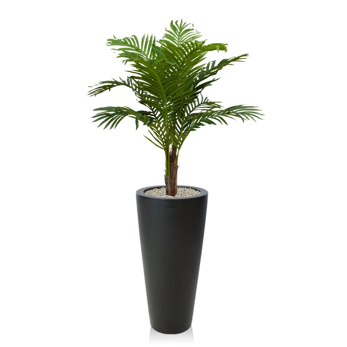 Lush 3 Ft faux Paradise Palm tree for a breezy, tropical feel