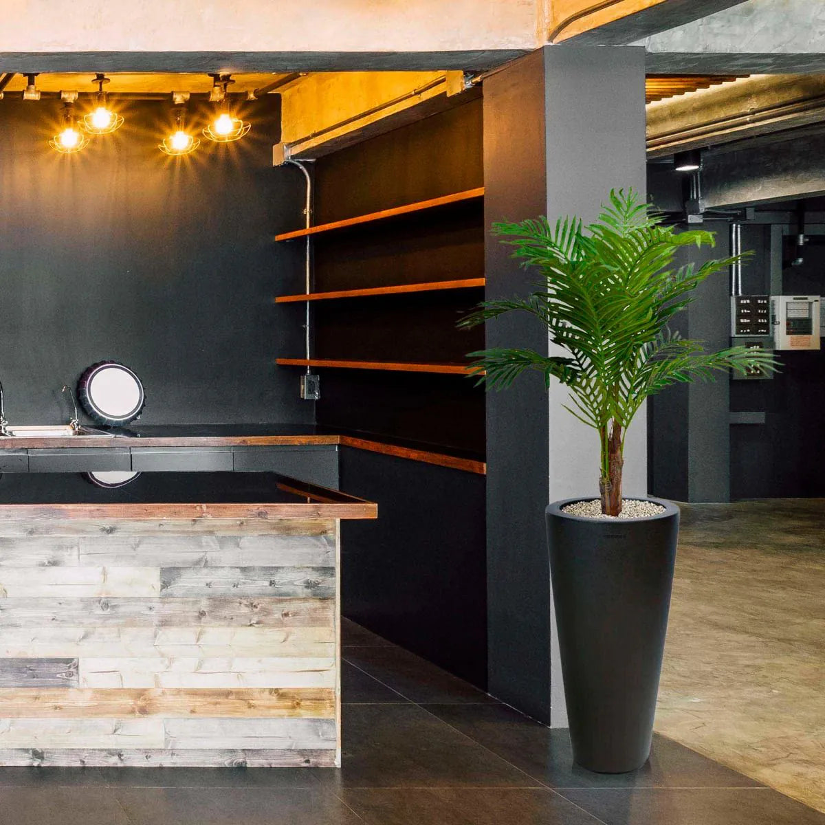 Beautiful and maintenance-free 3 Ft faux Paradise Palm for any space