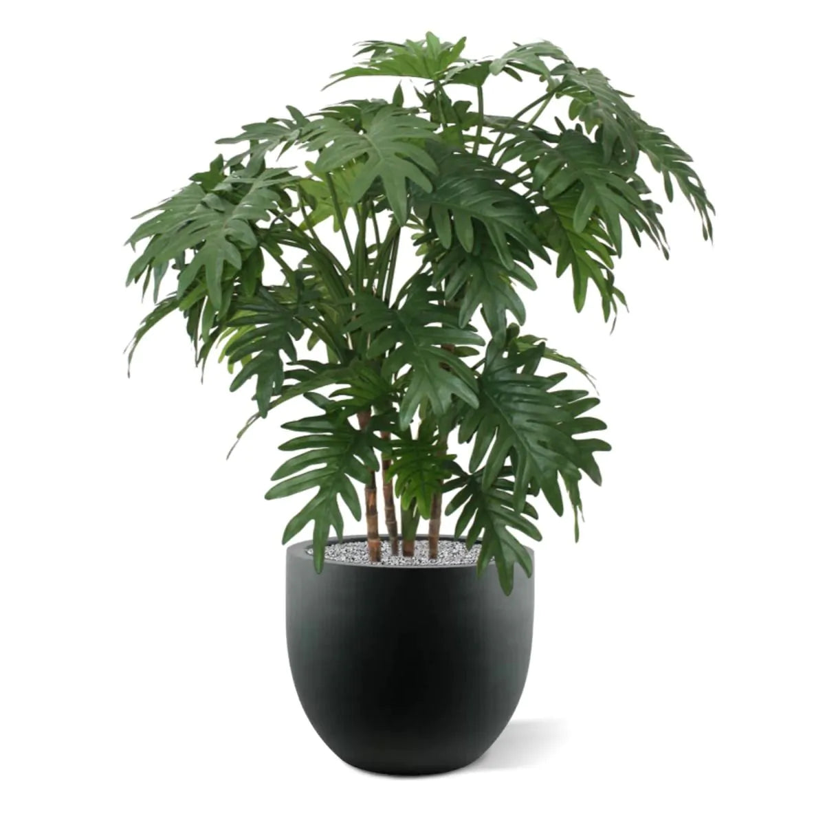 Decorative 3 Ft artificial Philodendron Xanadu with dense, natural-looking leaves