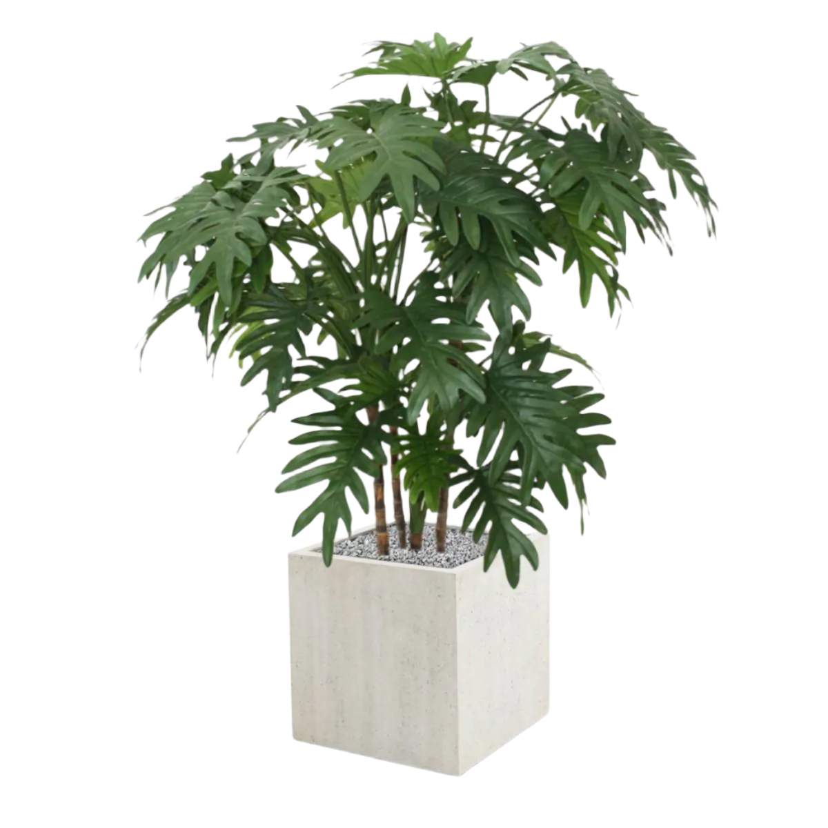 Exotic 3 Ft artificial Philodendron Xanadu – a stylish botanical accent
