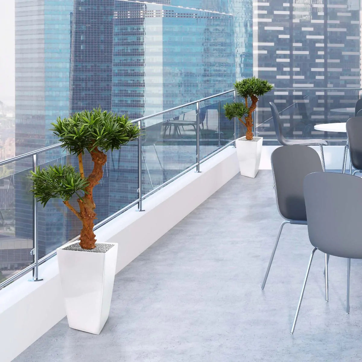 Lush 2 Ft artificial Podocarpus Bonsai tree with vibrant, year-round foliage