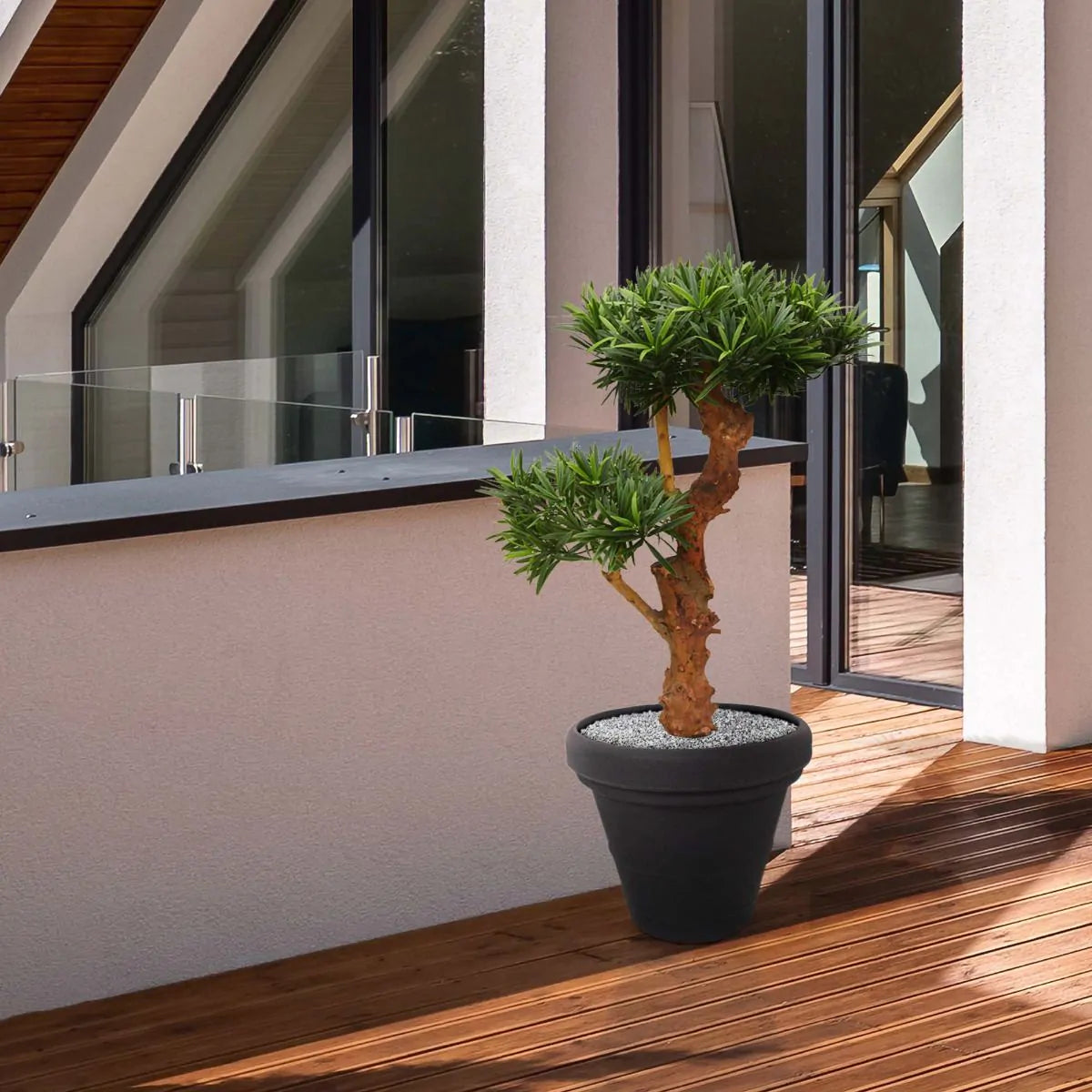 Exotic 2 Ft faux Podocarpus Bonsai – a stylish, low-maintenance plant