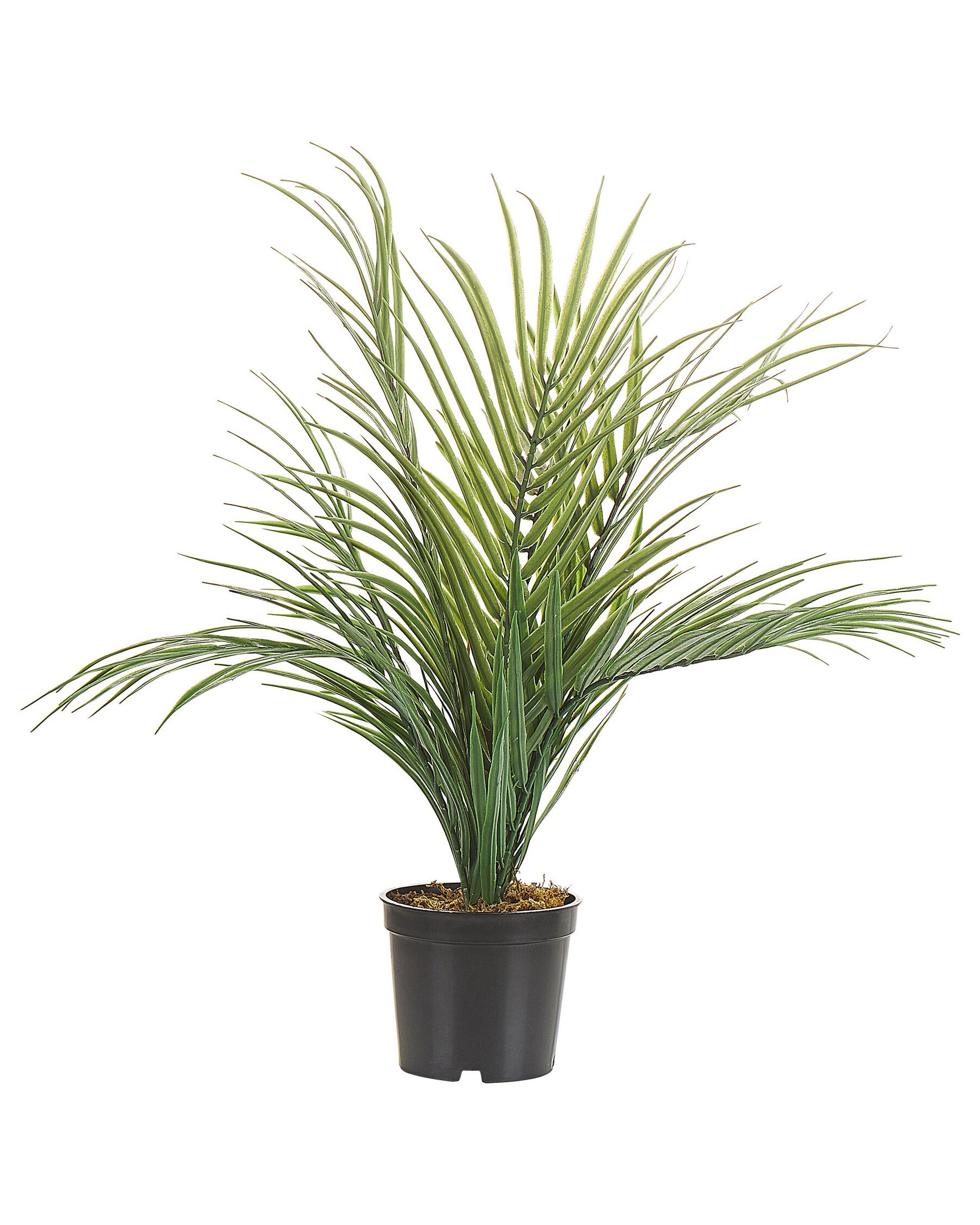 2 Ft Artificial Areca Palm (Without Pot) – full plant shot showcasing realistic foliage