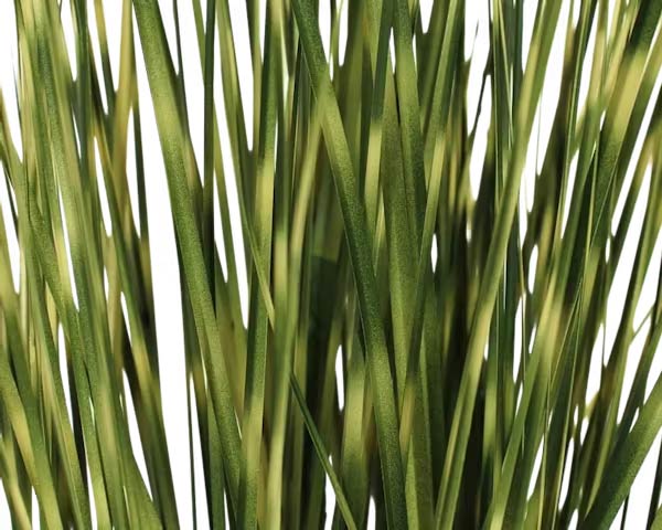 4 Ft Artificial zebra grass – lifelike tropical plant alternative