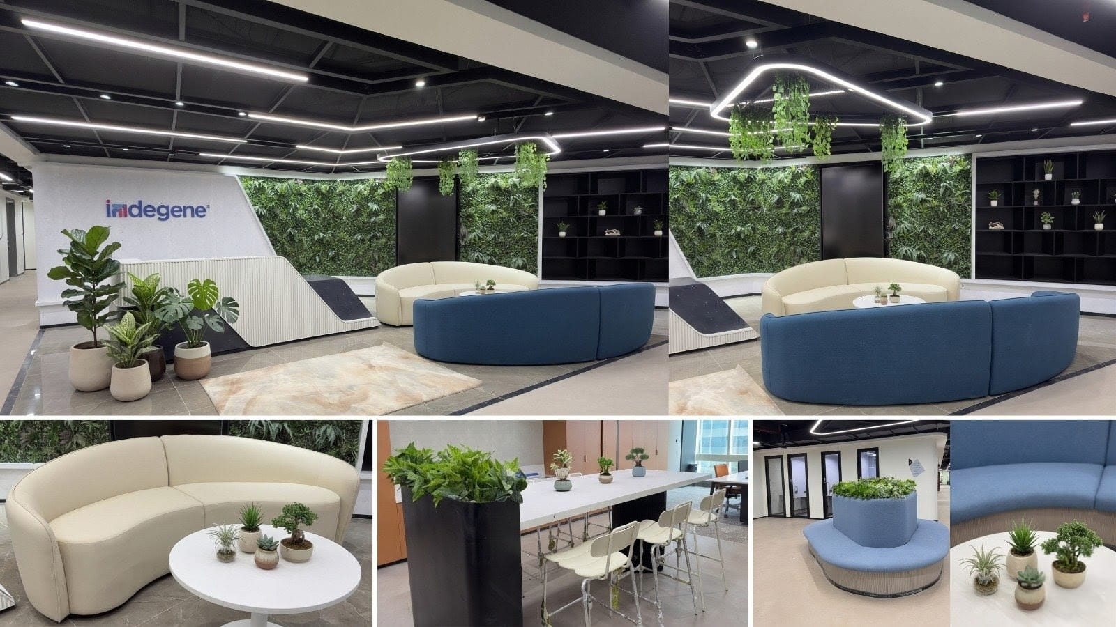 Why Top Companies Are Switching to Maintenance-Free Green Offices