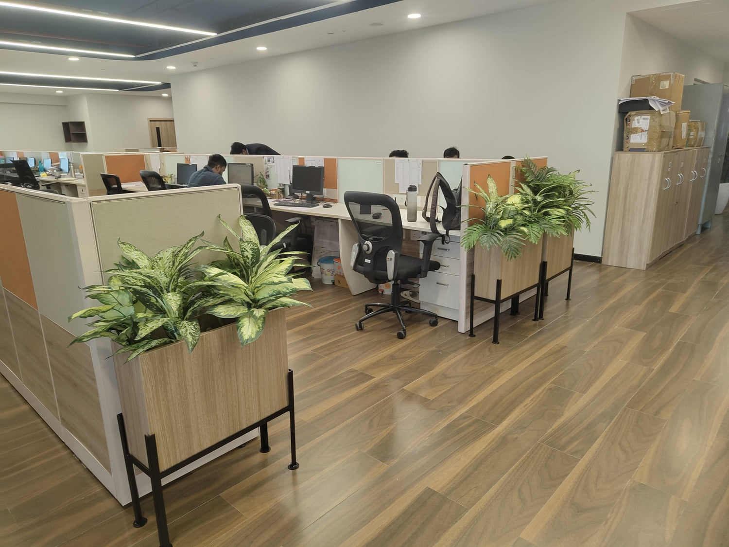 Modern office with cubicles, wooden flooring, and artificial plants in planters.