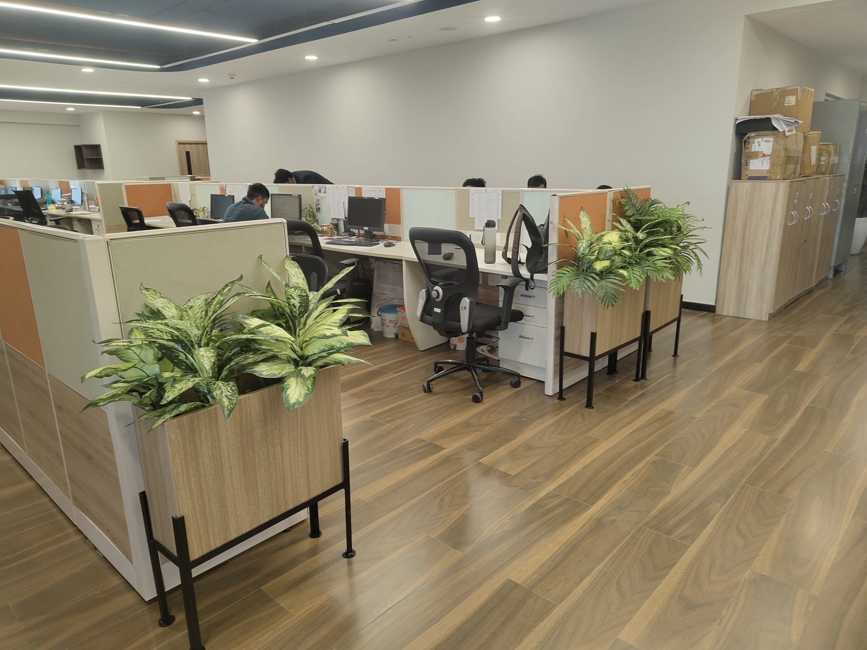Modern office with cubicles, wooden flooring, and artificial plants in planters.