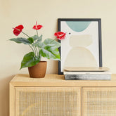2 Ft Artificial Anthurium Plant with Red Flowers - Lifelike Faux Tropical Decoration (Without Pot) – styled for modern home interiors