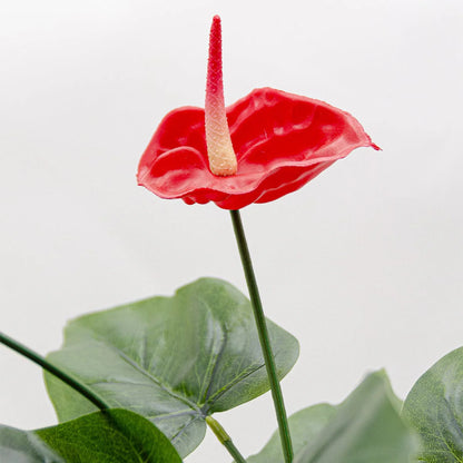 2 Ft Artificial Anthurium Plant with Red Flowers - Lifelike Faux Tropical Decoration (Without Pot) – perfect for indoor botanical ambiance