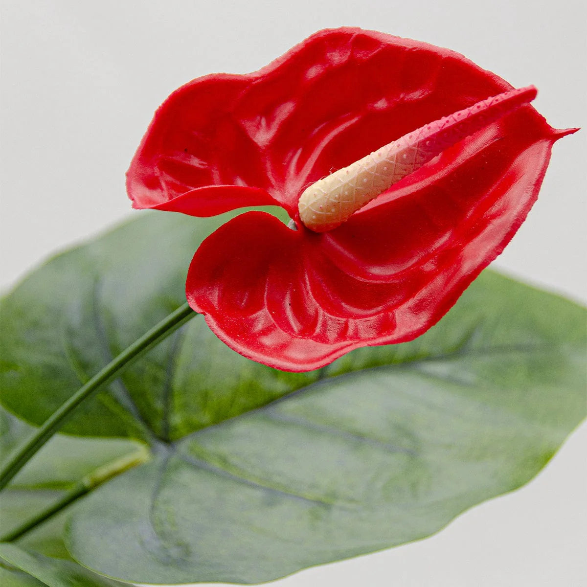 2 Ft Artificial Anthurium Plant with Red Flowers - Lifelike Faux Tropical Decoration (Without Pot) – tropical accent for home or office decor