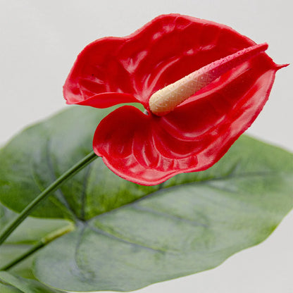 2 Ft Artificial Anthurium Plant with Red Flowers - Lifelike Faux Tropical Decoration (Without Pot) – tropical accent for home or office decor