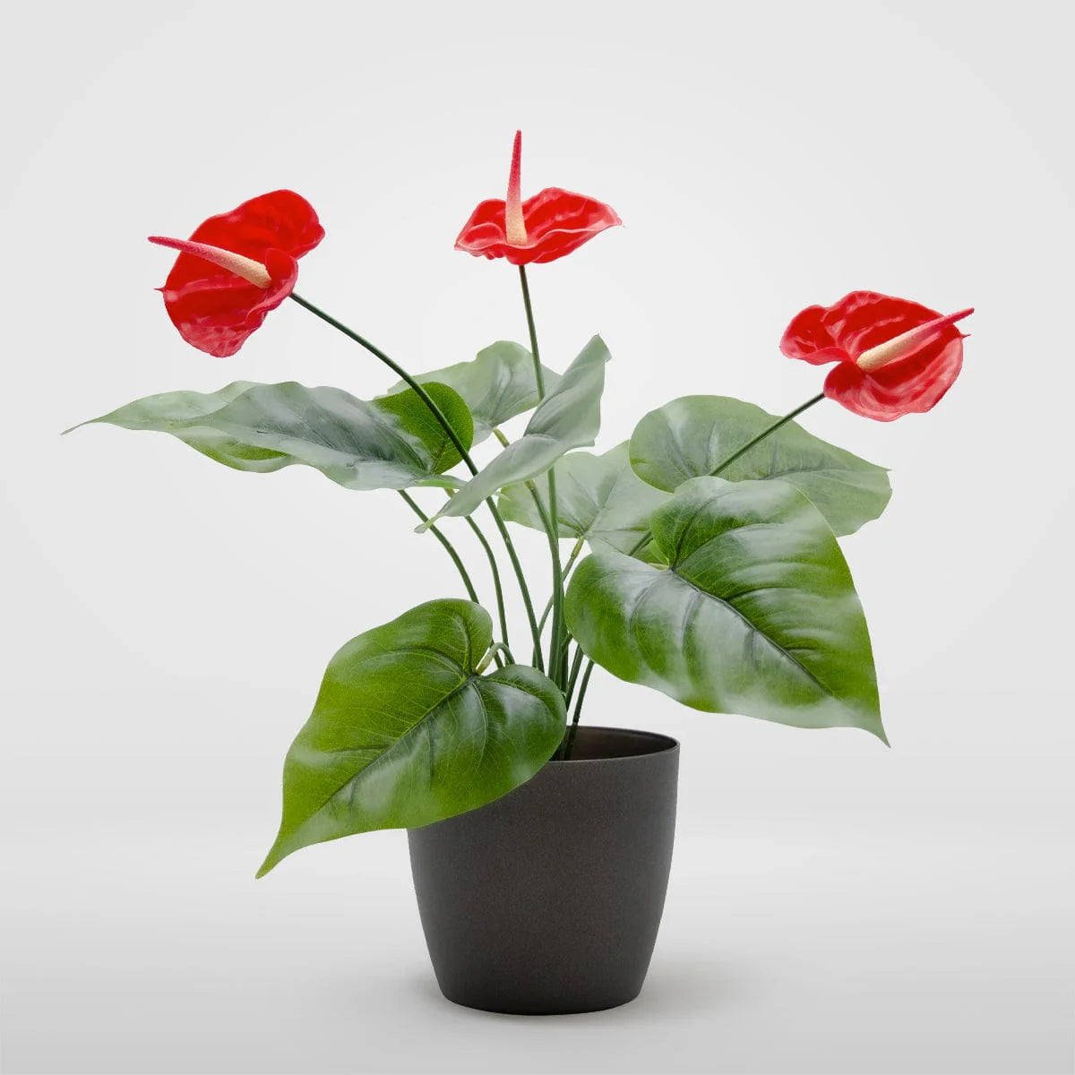 2 Ft Artificial Anthurium Plant with Red Flowers - Lifelike Faux Tropical Decoration (Without Pot) – full plant shot showcasing realistic foliage