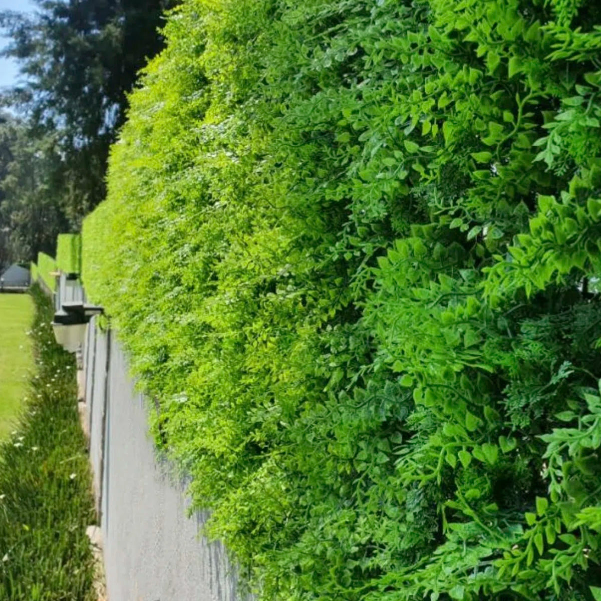 Artificial Leaf  Fence Panel – Set of 4 Decorative Faux Greenery Panels for Privacy &amp; Wall Décor