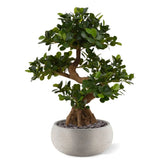 Elegant 2 Ft artificial bonsai with lush green leaves and a natural look

