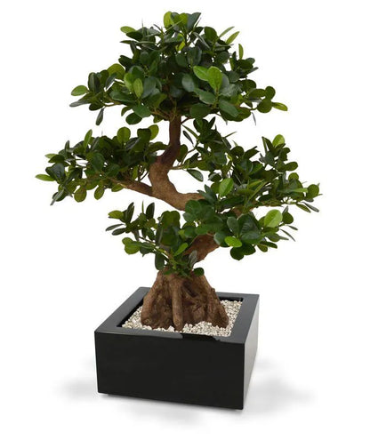 Premium 2 Ft artificial bonsai tree with detailed lifelike foliage
