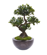 Lifelike 2 Ft artificial Panda Bonsai with a sculpted trunk and dense foliage
