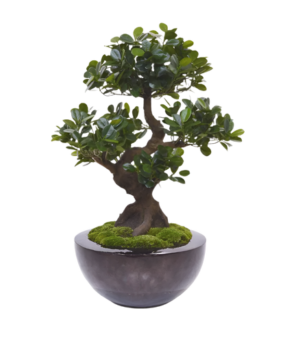 Lifelike 2 Ft artificial Panda Bonsai with a sculpted trunk and dense foliage
