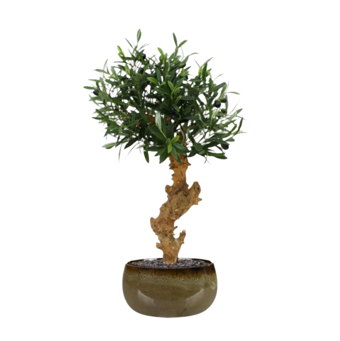 Lifelike 2 Ft artificial Olive Bonsai tree with realistic green leaves
