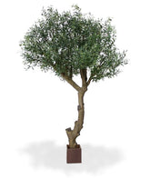 6 Ft Giant Artificial Olive tree 275 cm Y shape – perfect for modern home decor