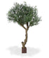 6 Ft Giant Artificial Olive tree 275 cm Y shape – perfect for modern home decor