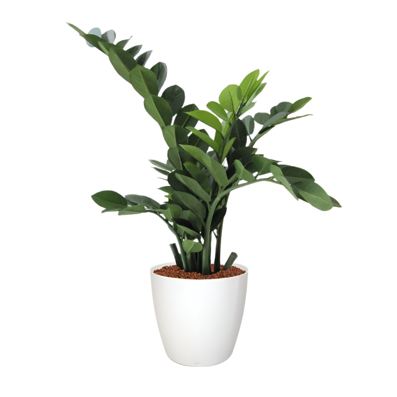 Lifelike 2 Ft artificial ZZ plant with glossy green leaves for home and office decor