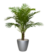Lifelike 3 Ft artificial Paradise Palm with lush, tropical fronds
