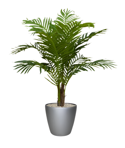 Lifelike 3 Ft artificial Paradise Palm with lush, tropical fronds
