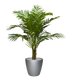 Lifelike 3 Ft artificial Paradise Palm with lush, tropical fronds
