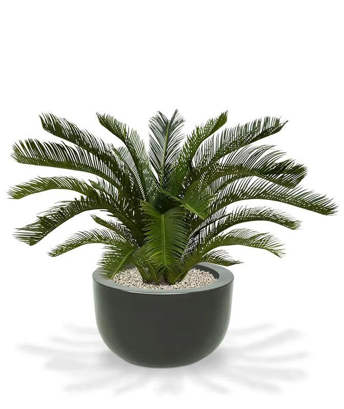 Vibrant 2 Ft faux Cycas Palm for home, office, and patio spaces
