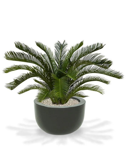Vibrant 2 Ft faux Cycas Palm for home, office, and patio spaces
