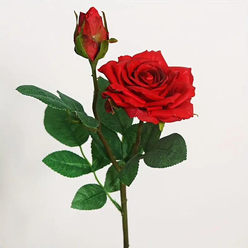 Red rose with green leaves on a white background