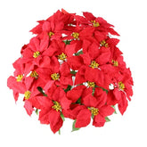 Red poinsettia flowers on a white background