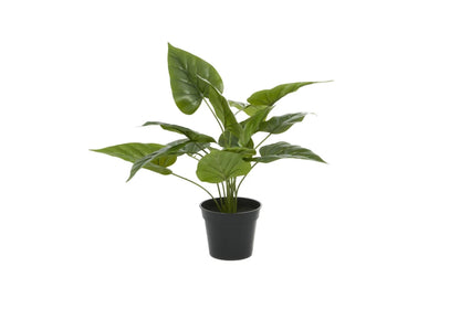 1.5 Ft Green Polyethylene Plastic Rectangle Artificial Foliage – lifelike design and vibrant colors
