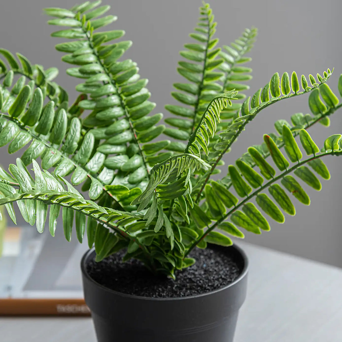 1 Ft Artificial Fern in Black Plant Pot – ideal for indoor botanical themes