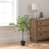 3 Ft Artificial Ficus Tree in Black Cement Plant Pot – perfect for modern home decor