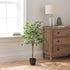3 Ft Artificial Ficus Tree in Black Cement Plant Pot – perfect for modern home decor