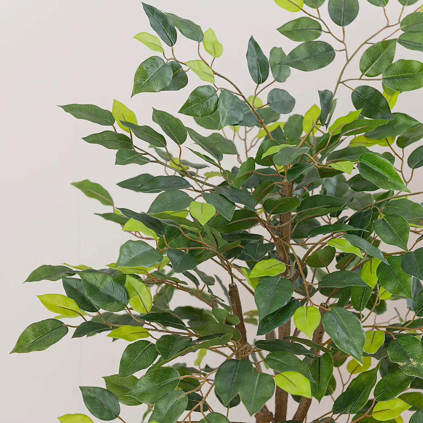 3 Ft Artificial Ficus Tree in Black Cement Plant Pot – ideal for indoor botanical themes