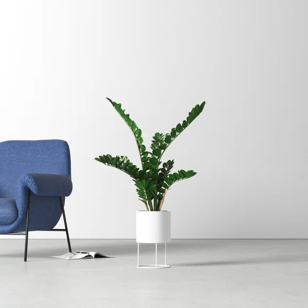 Artificial foliage plant for home, office, and commercial décor